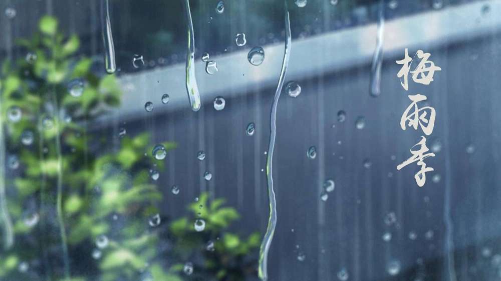 回南天、梅雨季，帕布勒不銹鋼廚柜從容應對